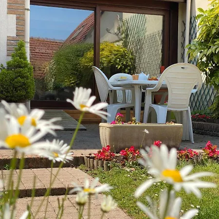 Maison 4 A 7 Pers Jardin Et Garage Face Baie بيت للعطل
